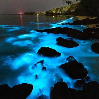 Светящийся планктон