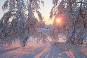 Чайковский времена года зима