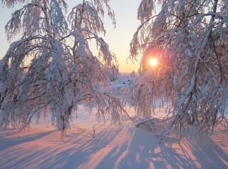 Чайковский времена года зима