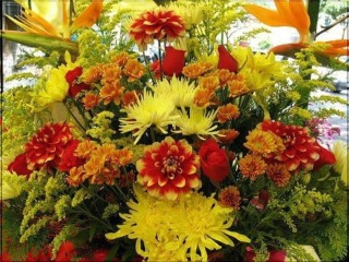 С днем рождения осенние цветы