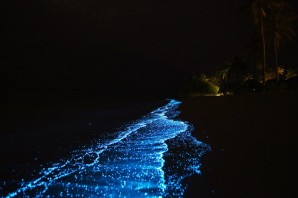 Биолюминесцентный пляж