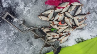 Рыбалка в сибири зимой