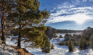 Сосновая горка зима