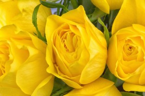Букет желтых роз