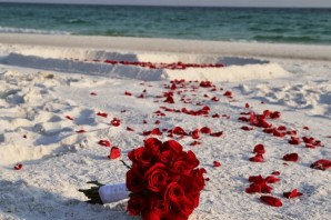 Цветок в песках