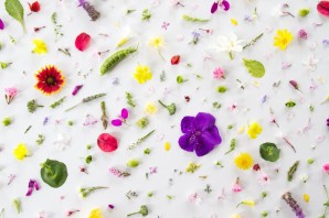 Красивый фон на весь экран