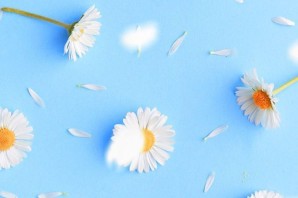 Обои на телефон голубой фон