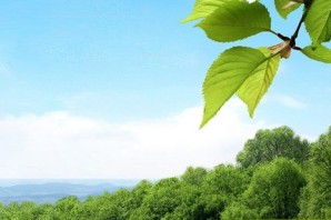 Обои весна на телефон