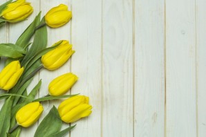 Желтый фон с цветами