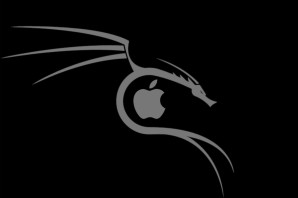 Кали линукс обои на телефон