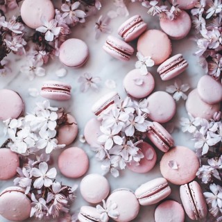 Нежно розовые обои