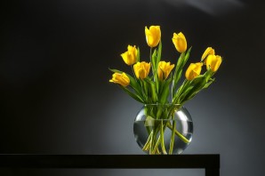 Желтые тюльпаны фон
