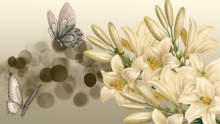Обои лилия королевская