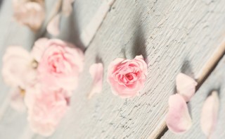 Нюдовые фоны