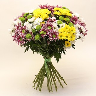 Хризантемы кустовые