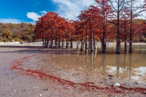 Долина сукко кипарисовое озеро