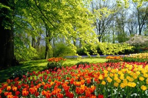 Красивая природа весна