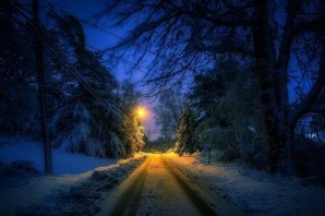 Дорога в лесу ночью