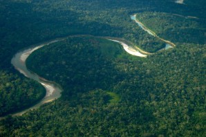 Приток реки амазонка