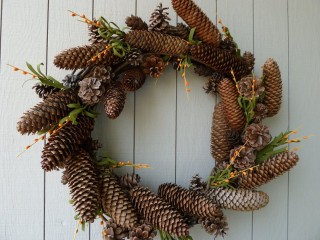 Поделки из сосновых шишек своими руками