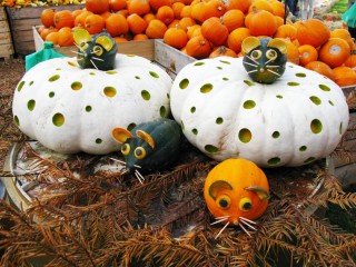 Поделки из тыквы в школу