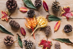 Цветы из шишек