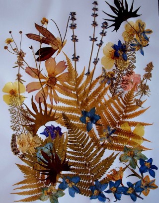 Поделки из сухих цветов своими руками