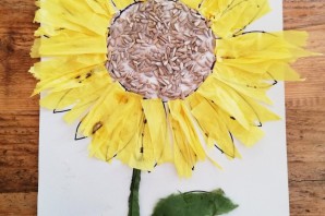 Поделка подсолнух из семечек