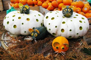 Поделка из патиссона в школу