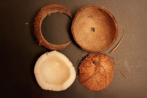 Поделки из кокосовой скорлупы