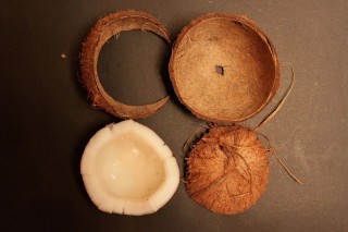 Поделки из кокосовой скорлупы