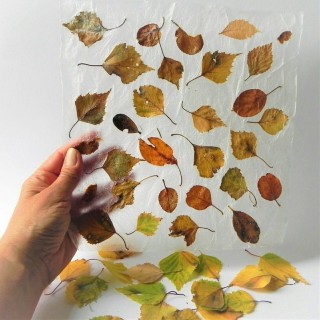 Поделки из сушеных листьев