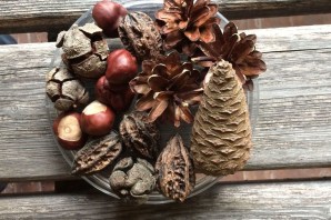 Поделка из кедровых орехов на тему осень