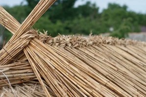 Поделка из камыша своими руками