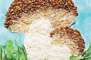 Поделка из гречки