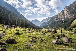 Киргизия долина арашан