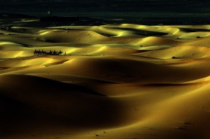 Золотая пустыня