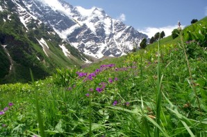 Альпийские луга приэльбрусья