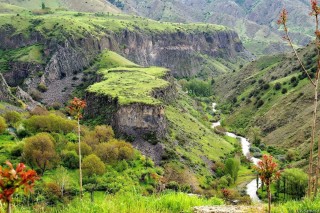 Армения каньон дебед