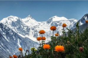 Алтайские горы белуха