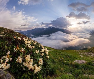 Природа северо кавказа