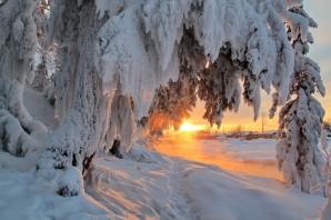 Зимняя природа сибири