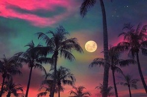 Море пальмы ночь