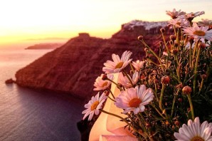 Горы море солнце цветы