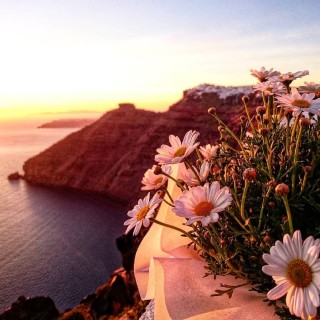 Горы море солнце цветы