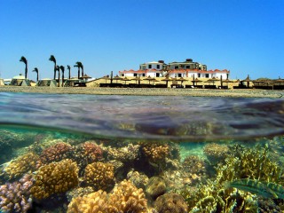 Красное море сафага