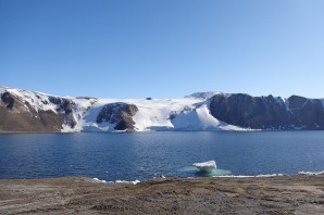 Китовая бухта антарктида