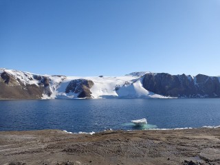 Китовая бухта антарктида