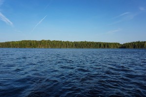 Павшинское озеро в вологодской области