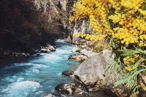 Весна горная река